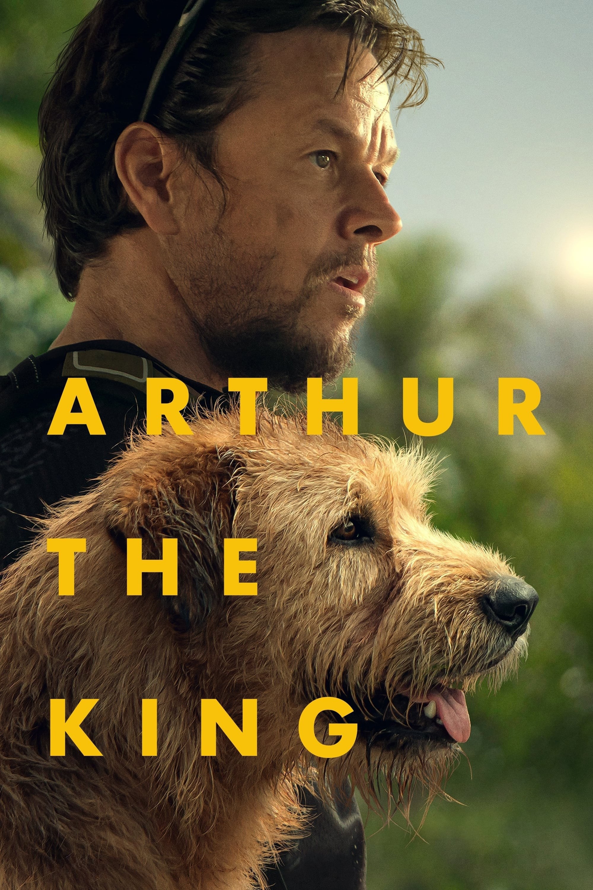 Arthur: Chú Chó Kiên Cường