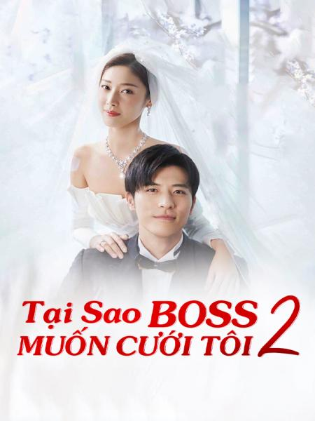 Tại Sao Boss Muốn Cưới Tôi? - Phần 2