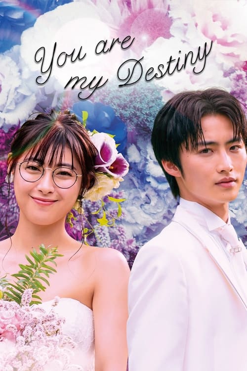 Định Mệnh Anh Yêu Em - You Are My Destiny